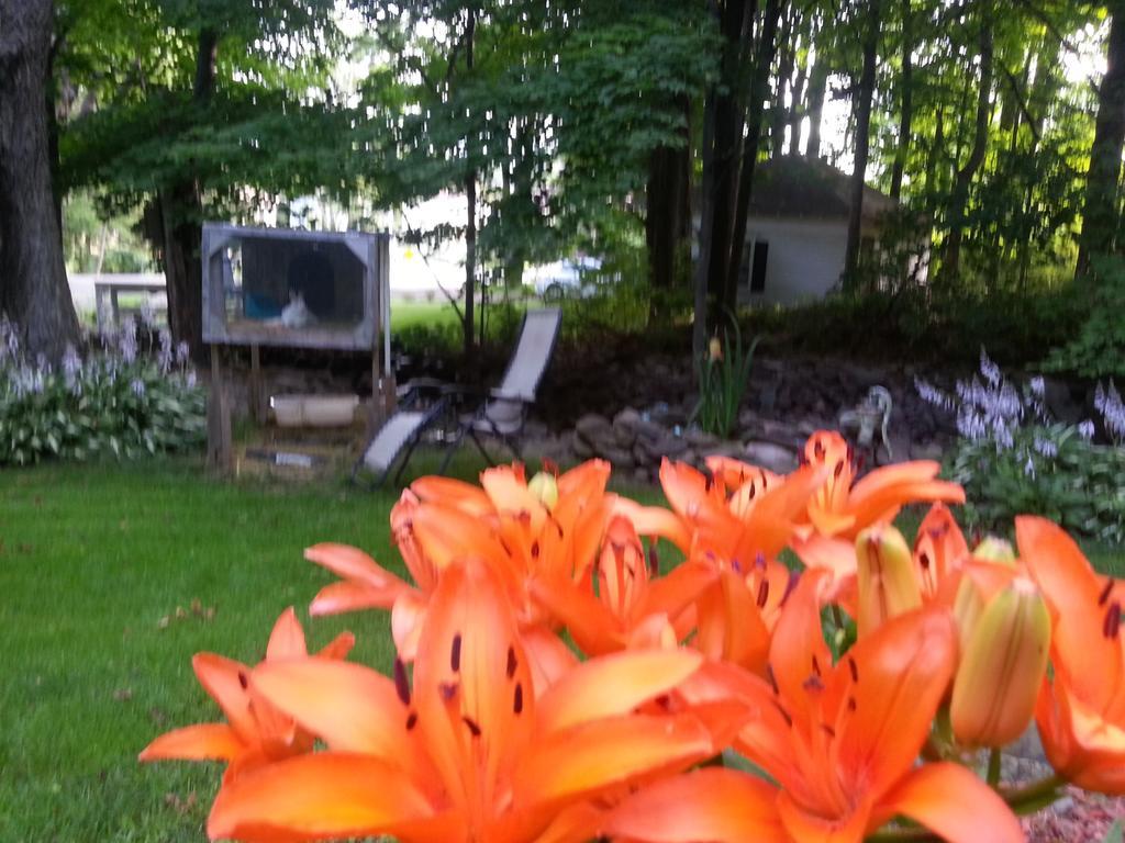 Kountry Living Bed And Breakfast Онионта Екстериор снимка