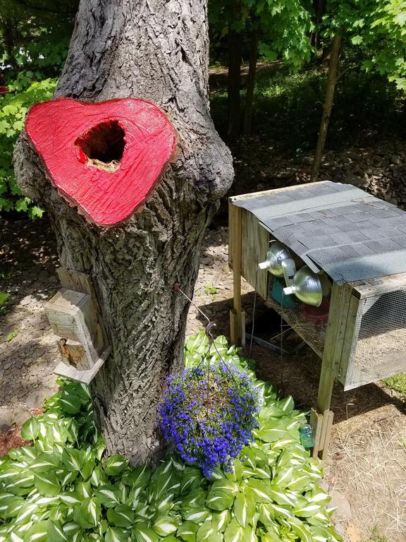 Kountry Living Bed And Breakfast Онионта Екстериор снимка